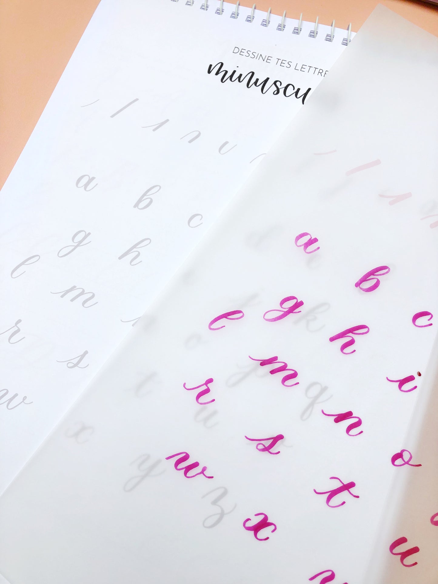 Le Carnet Ultime du Brush Lettering pour les débutants