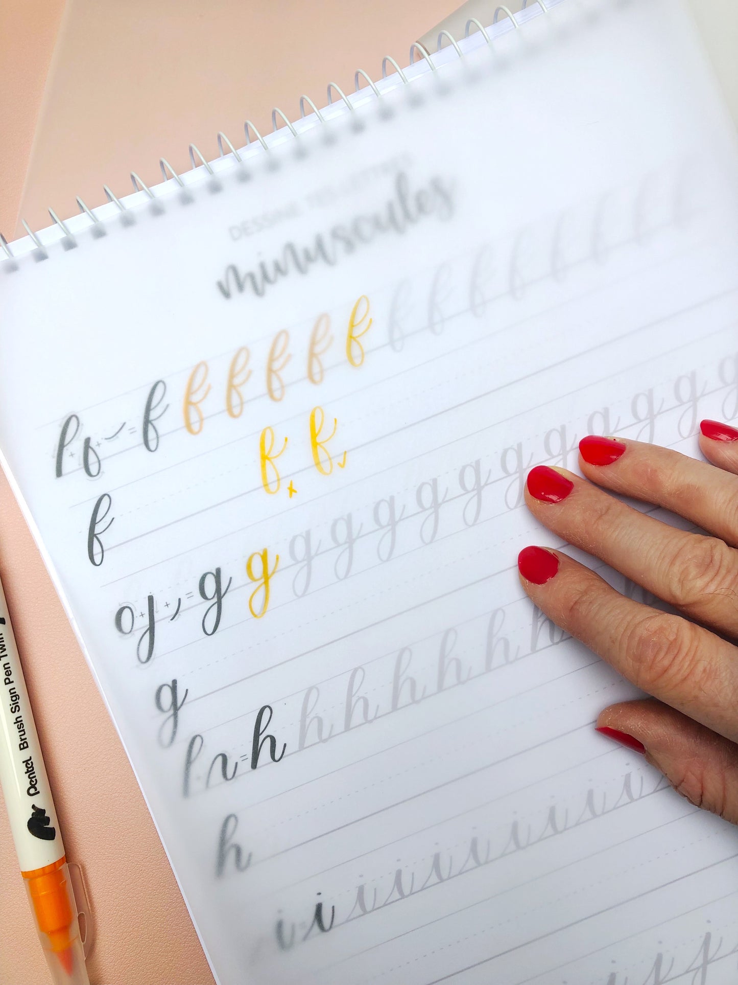 La Box de Brush Lettering